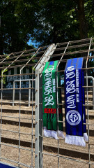 Freundschaftsschal WFV